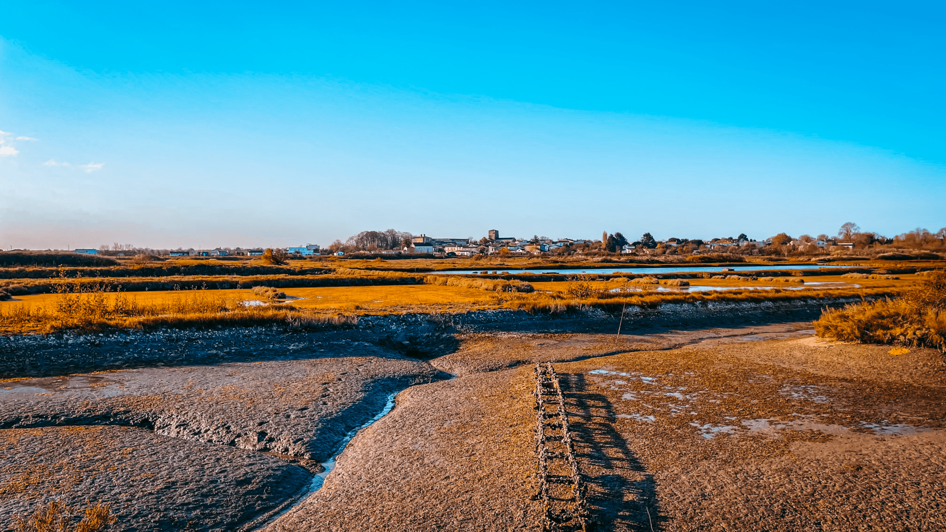 La Gestion De L Eau En Marais De Seudre Enjeux Et D Fis